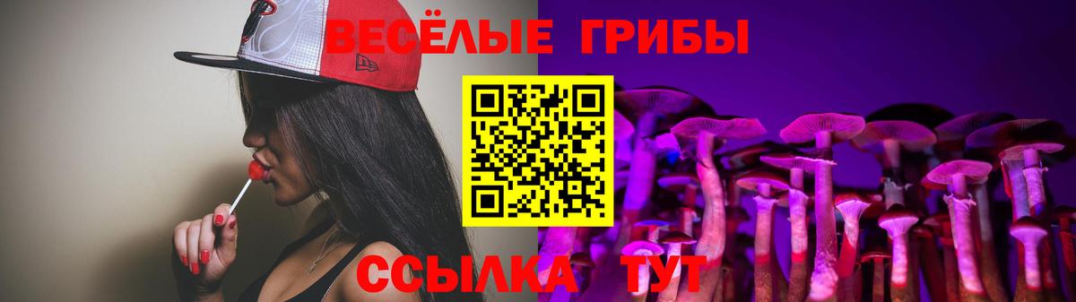 Петропавловск-Камчатский  Галлюциногенные грибы ЛСД  Вход с VPN  Псилоцибиновые грибы Psilocybe 